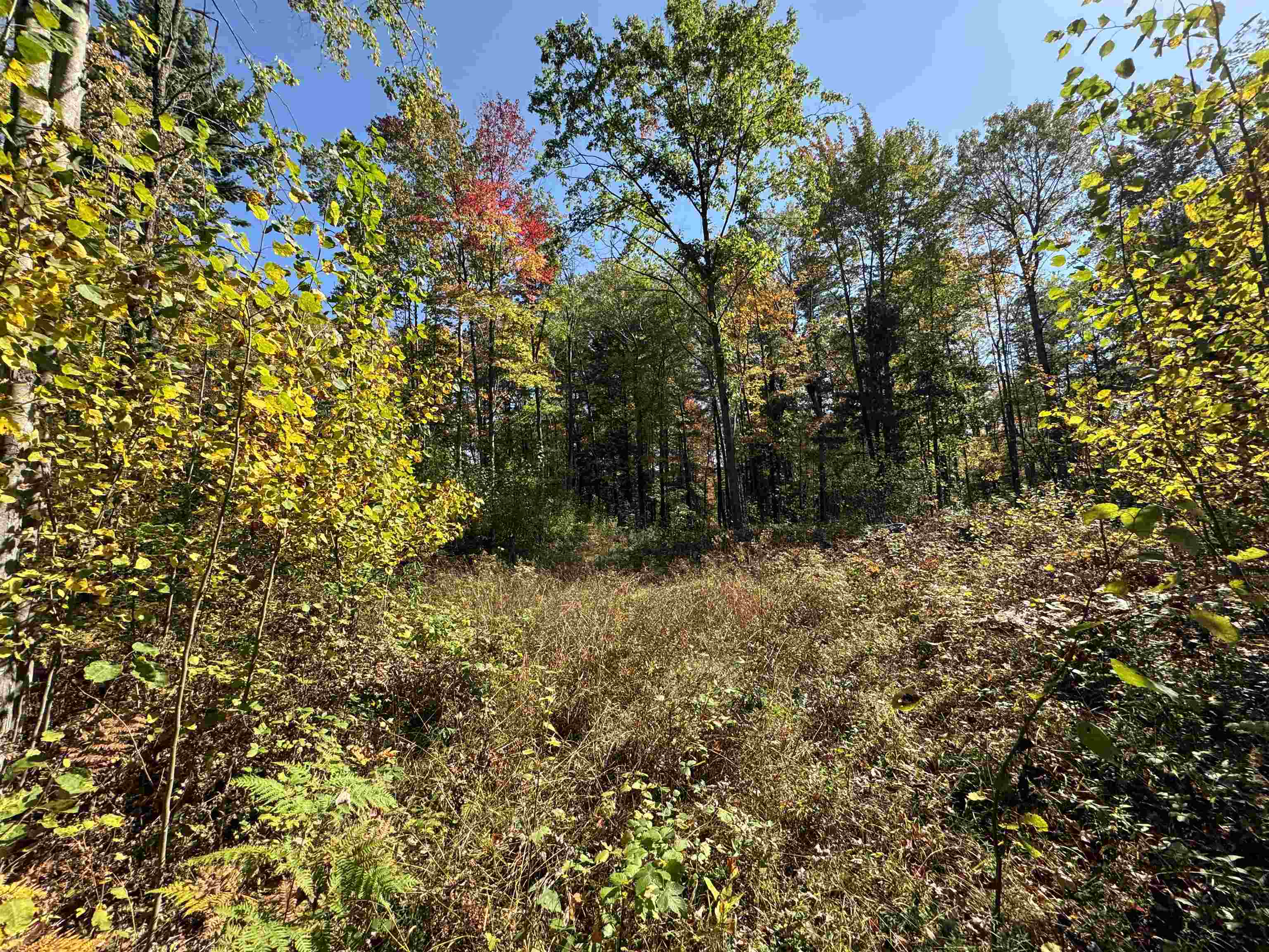 00 Cranberry Lake Road
