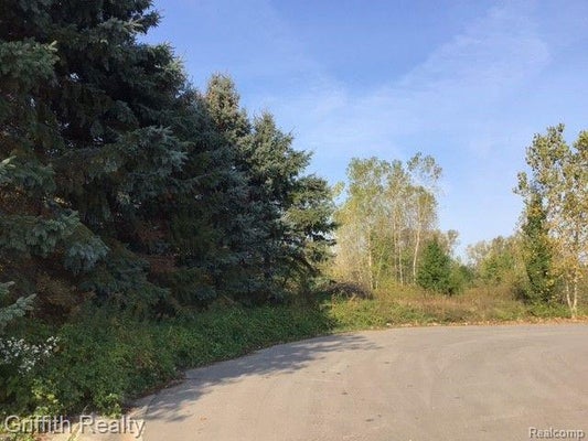COUNTRY CORNER DR, FOWLERVILLE, MI 48836 - Image 95e41be5bcedd78f65e1eee7d96540b9/2590727332