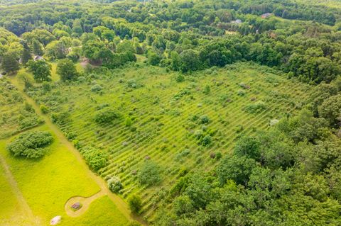 Tiny photo for 8650 S 2nd Street, Texas Charter Township, MI 49071 (MLS # 66026028832)