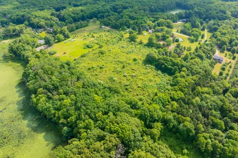 Tiny photo for 8650 S 2nd Street, Texas Charter Township, MI 49071 (MLS # 66026028832)