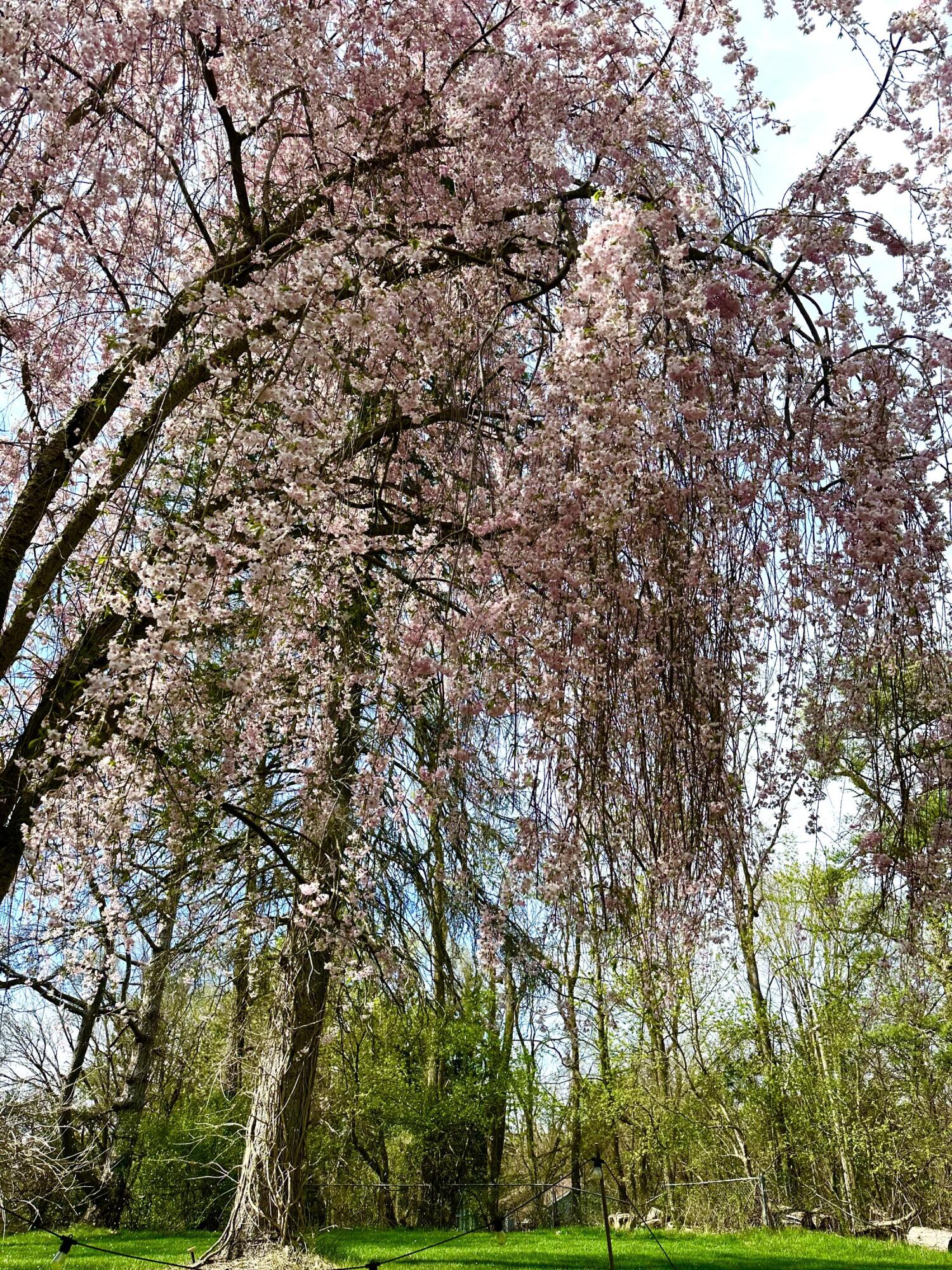 18315 Cavanaugh Lake Road