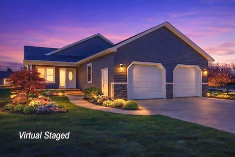 217 W Birch Street Litchfield City MI 49252