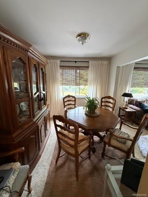 10529 Fawn Ridge Trail 6-D