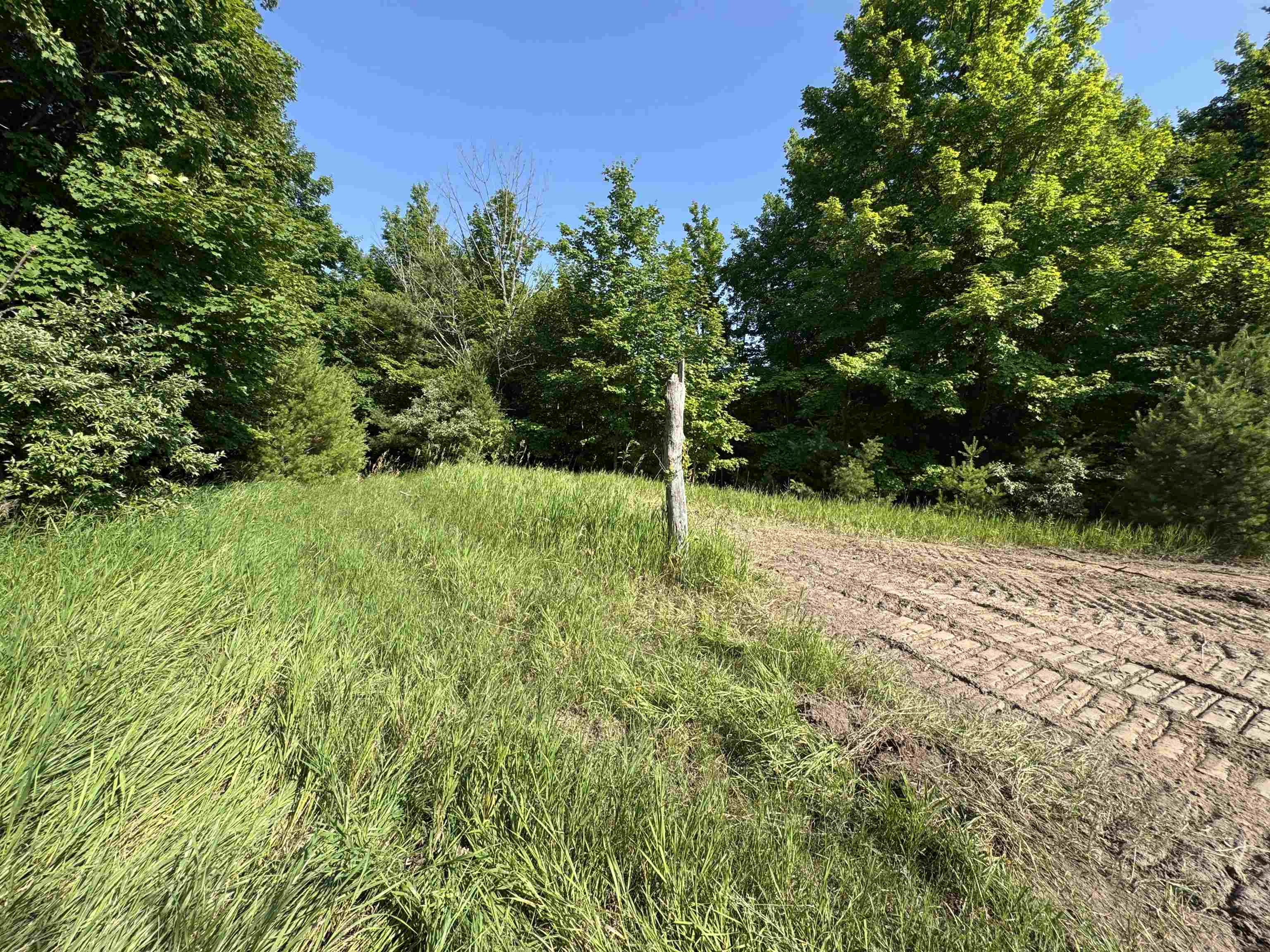 Lot #6 E Bellinger Road