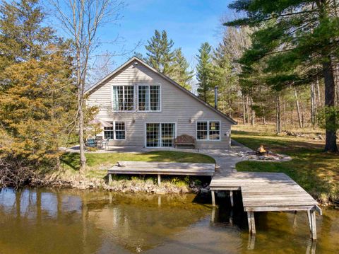 10575 Pine Drive Stronach Township MI 49660