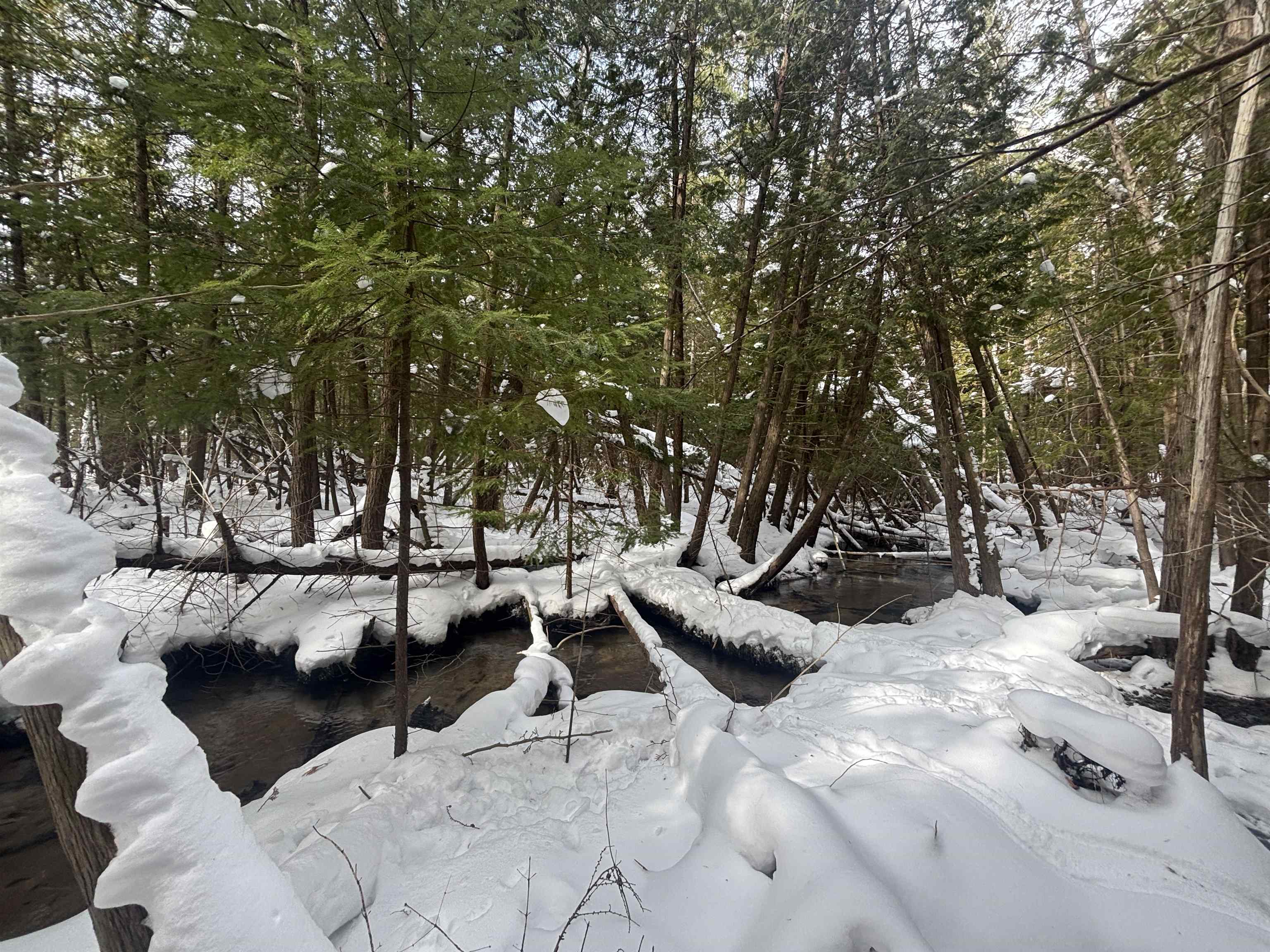 4715 Springbrook Drive