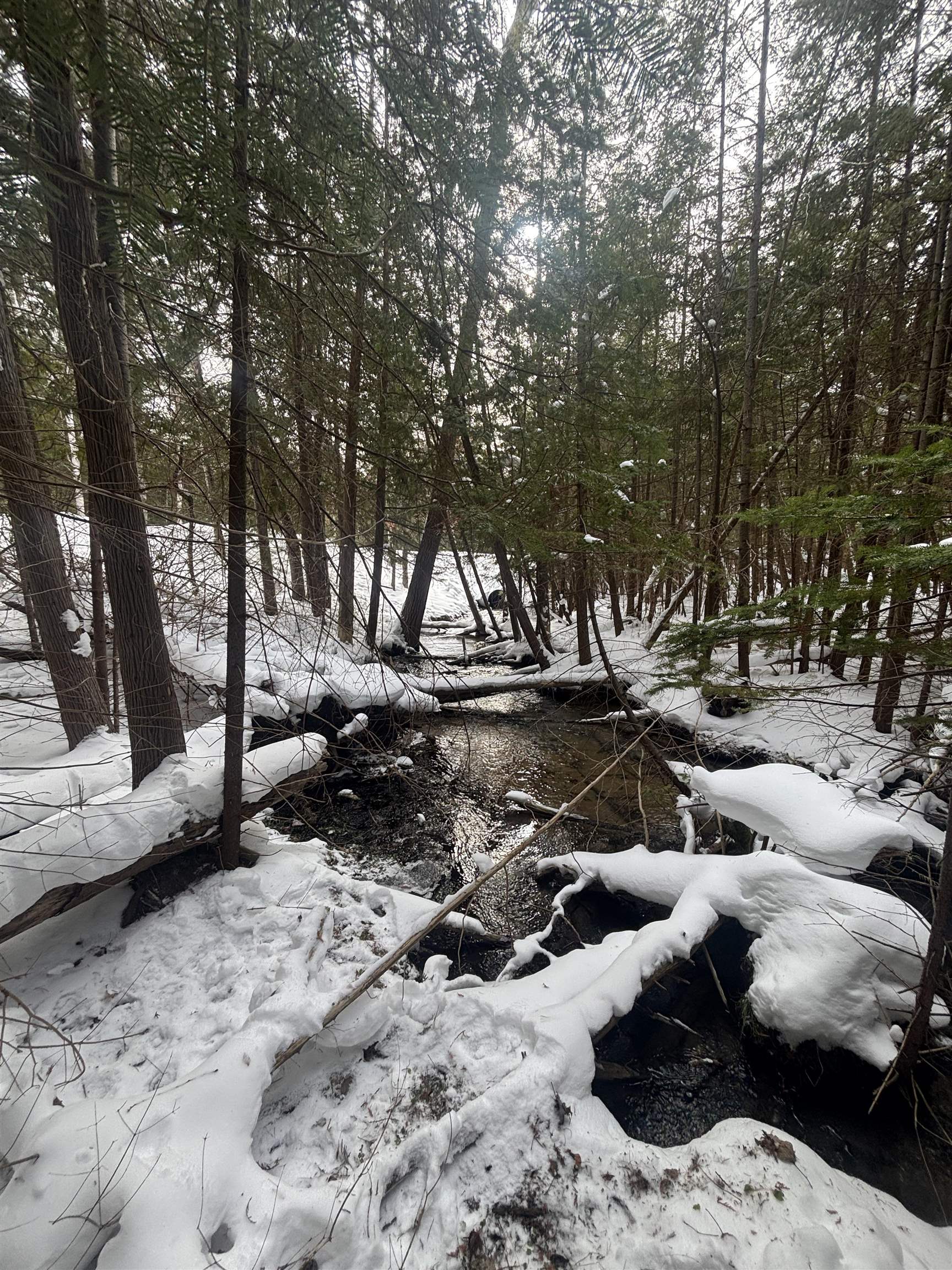 4715 Springbrook Drive