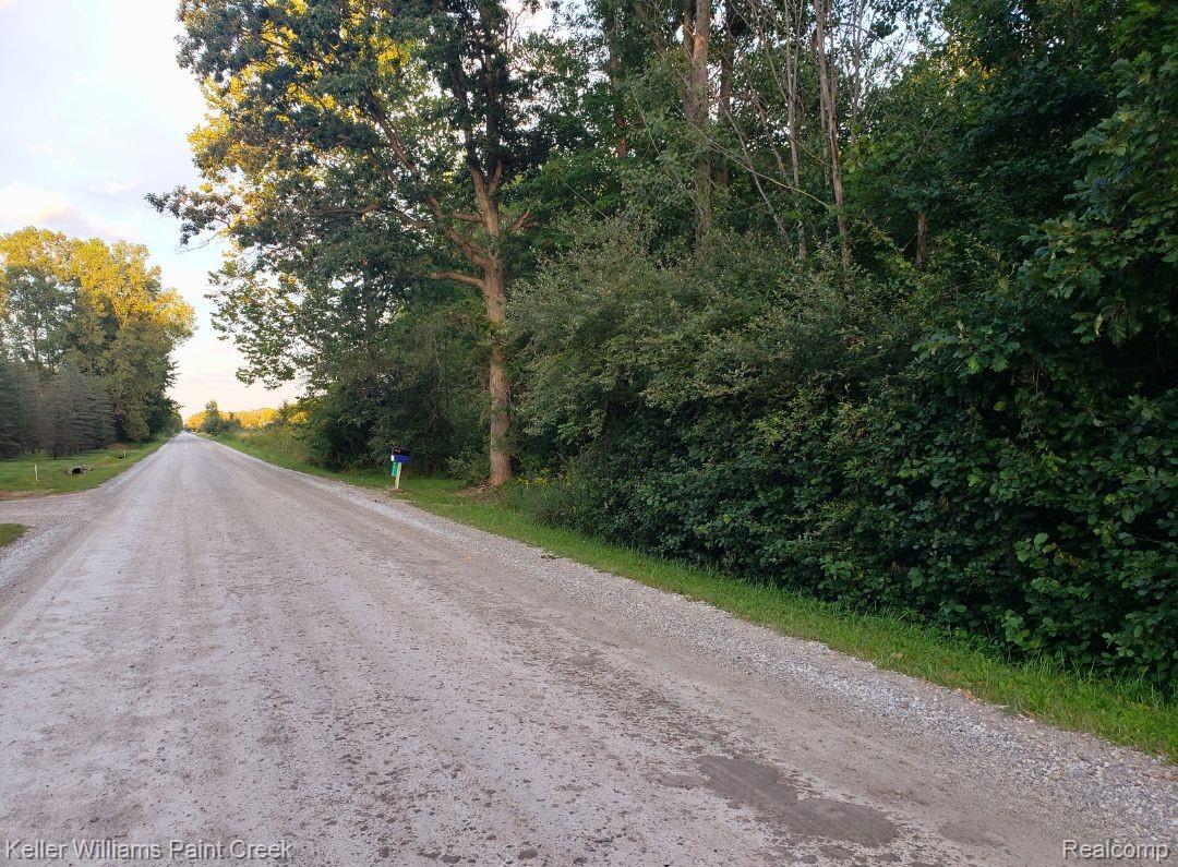 00 Puttygut Road