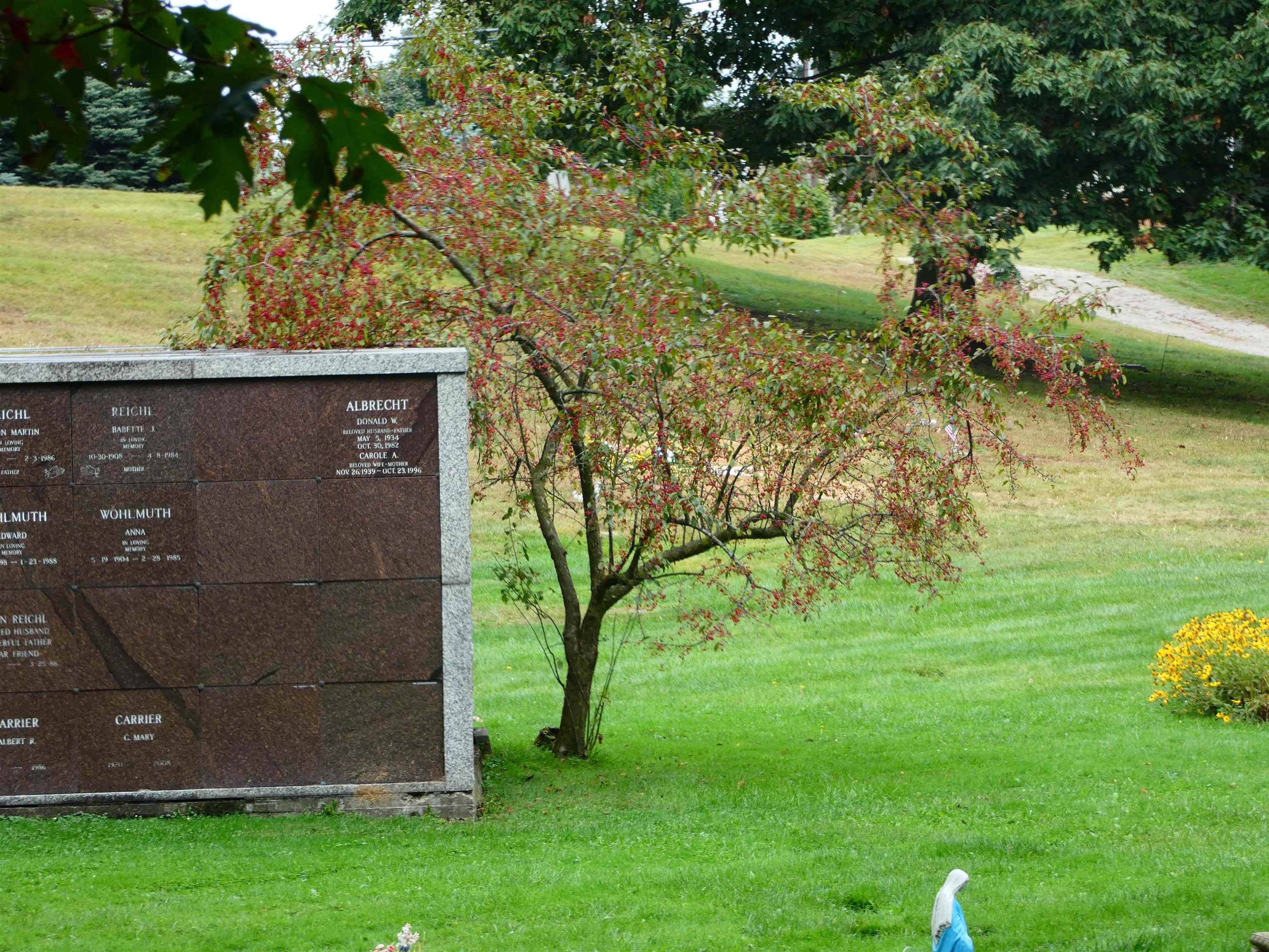 15685 E Fourteen Mile Road