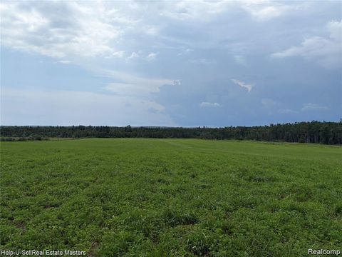 300 W Hubert Road Caledonia Township MI 48762