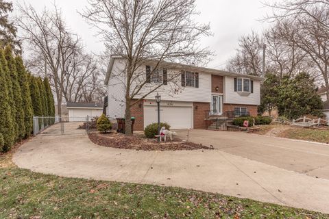 626 Plank Street Dundee Village MI 48131