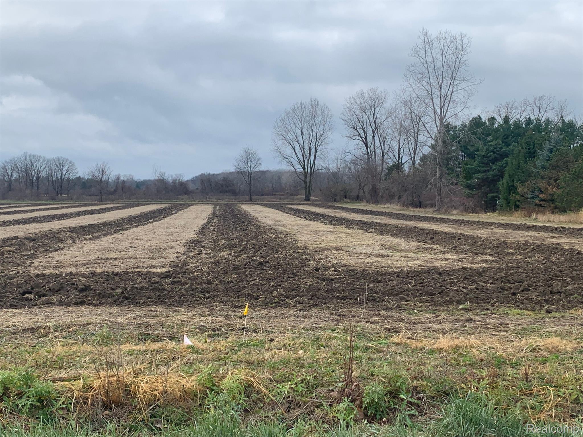 2.0 Acres Vacant Land Coon Creek Road