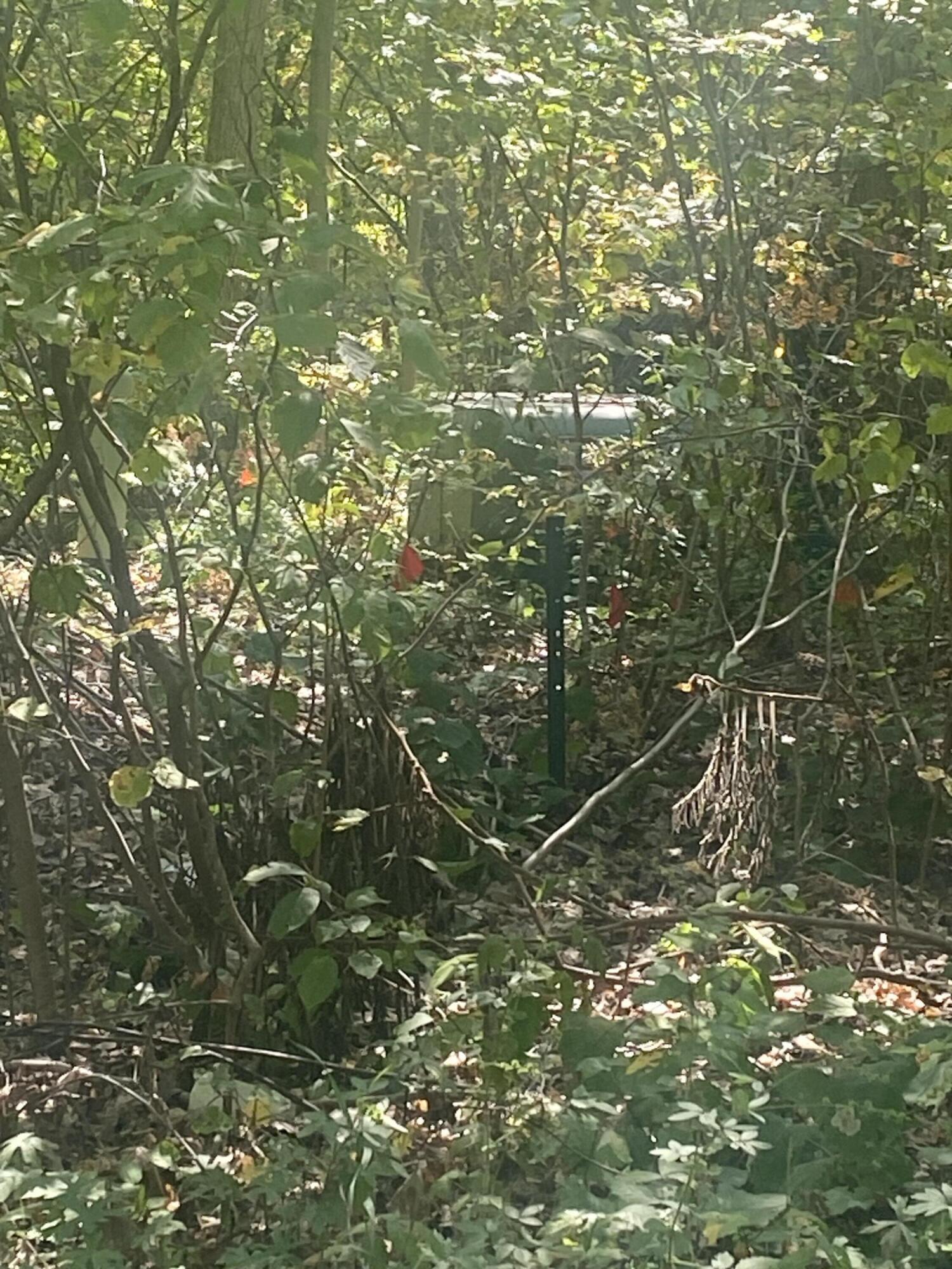 7813/7831 Wilderness Drive