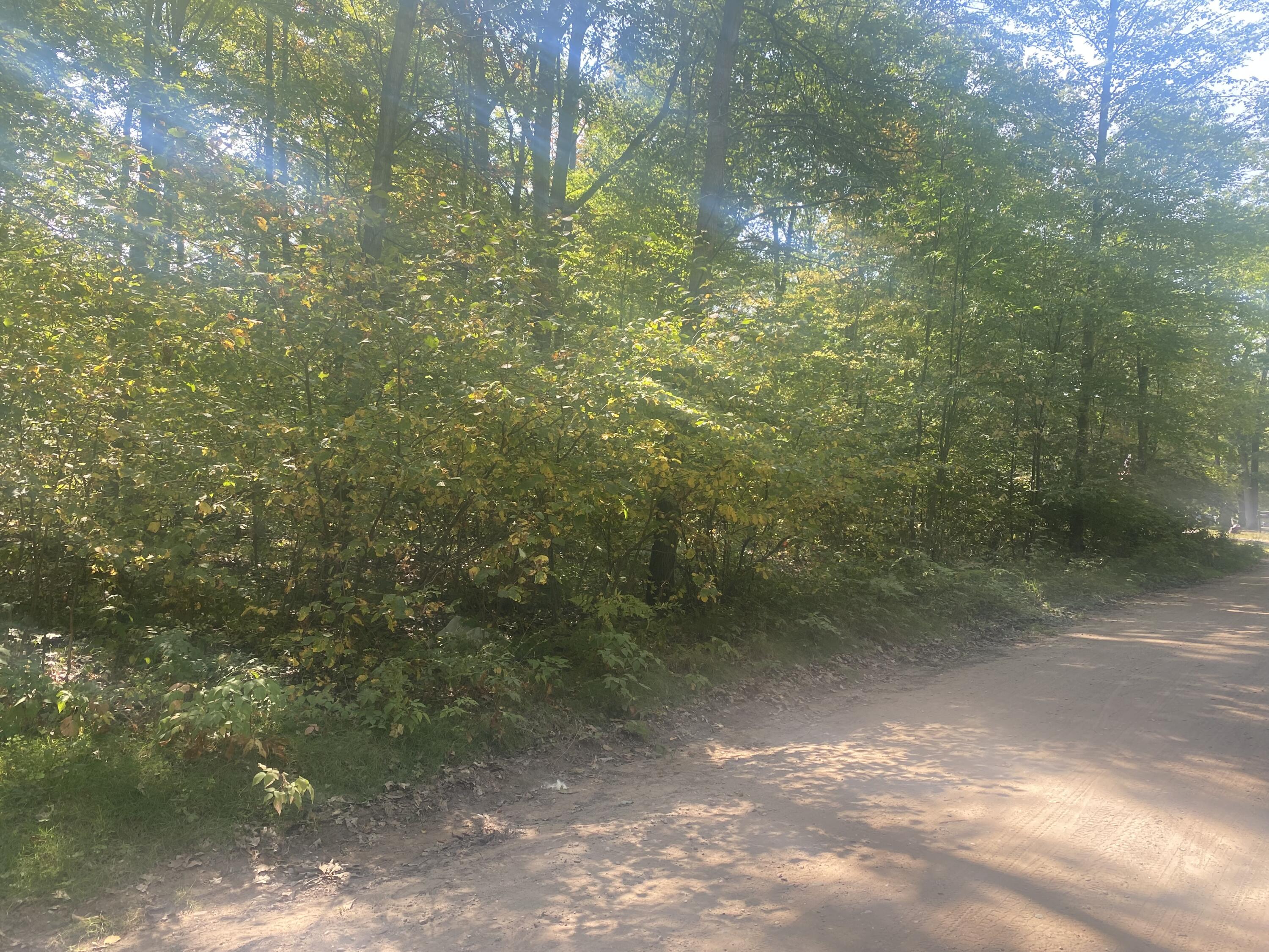 7813/7831 Wilderness Drive