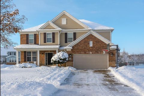 Photo of 49479 Gaviota Lane, Macomb Township, MI 48044 (MLS # 58050187771)