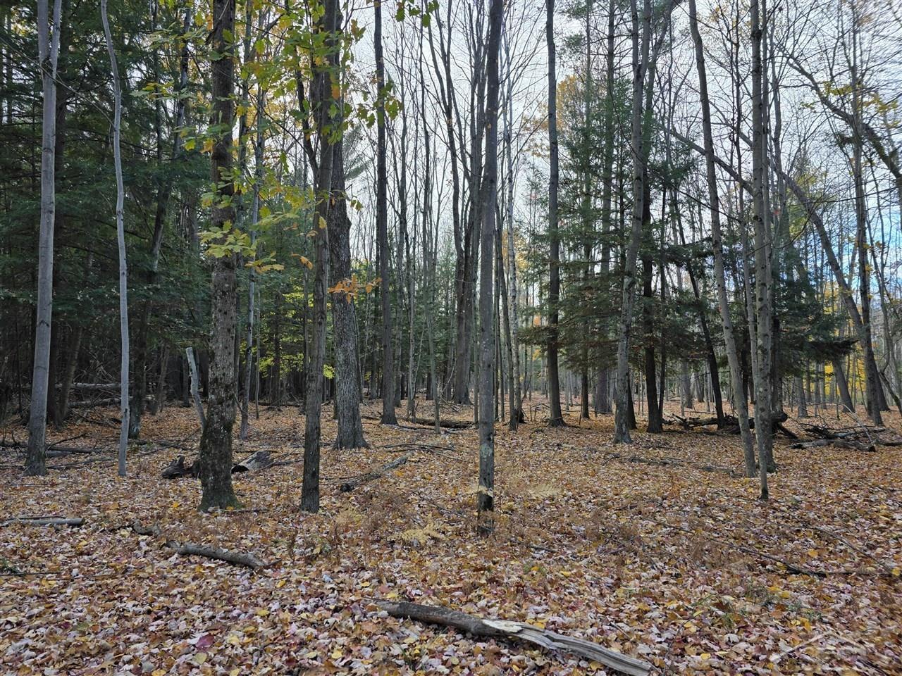 9191 Deerfield Court