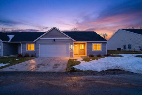 1069 Sunnyside Drive Leighton Township MI 49348