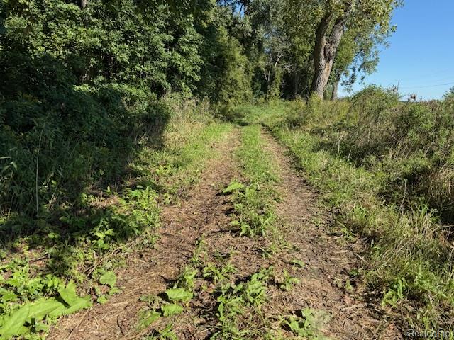 00 Capac Road