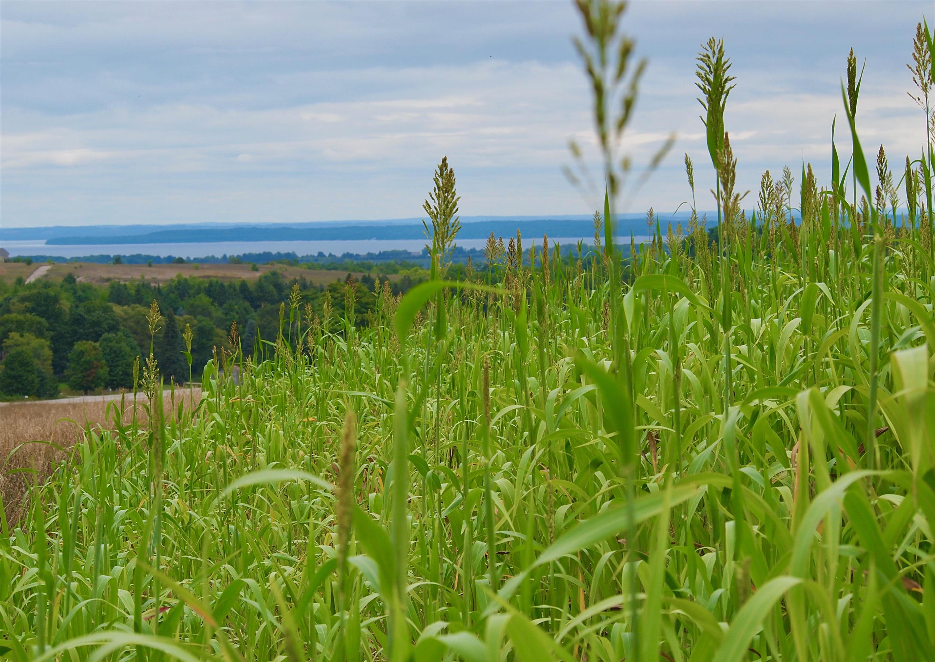 9224 E Duck Lake Road