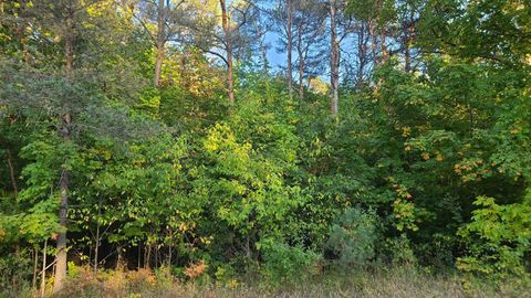 0000 Sperry Road Springfield Township MI 49646