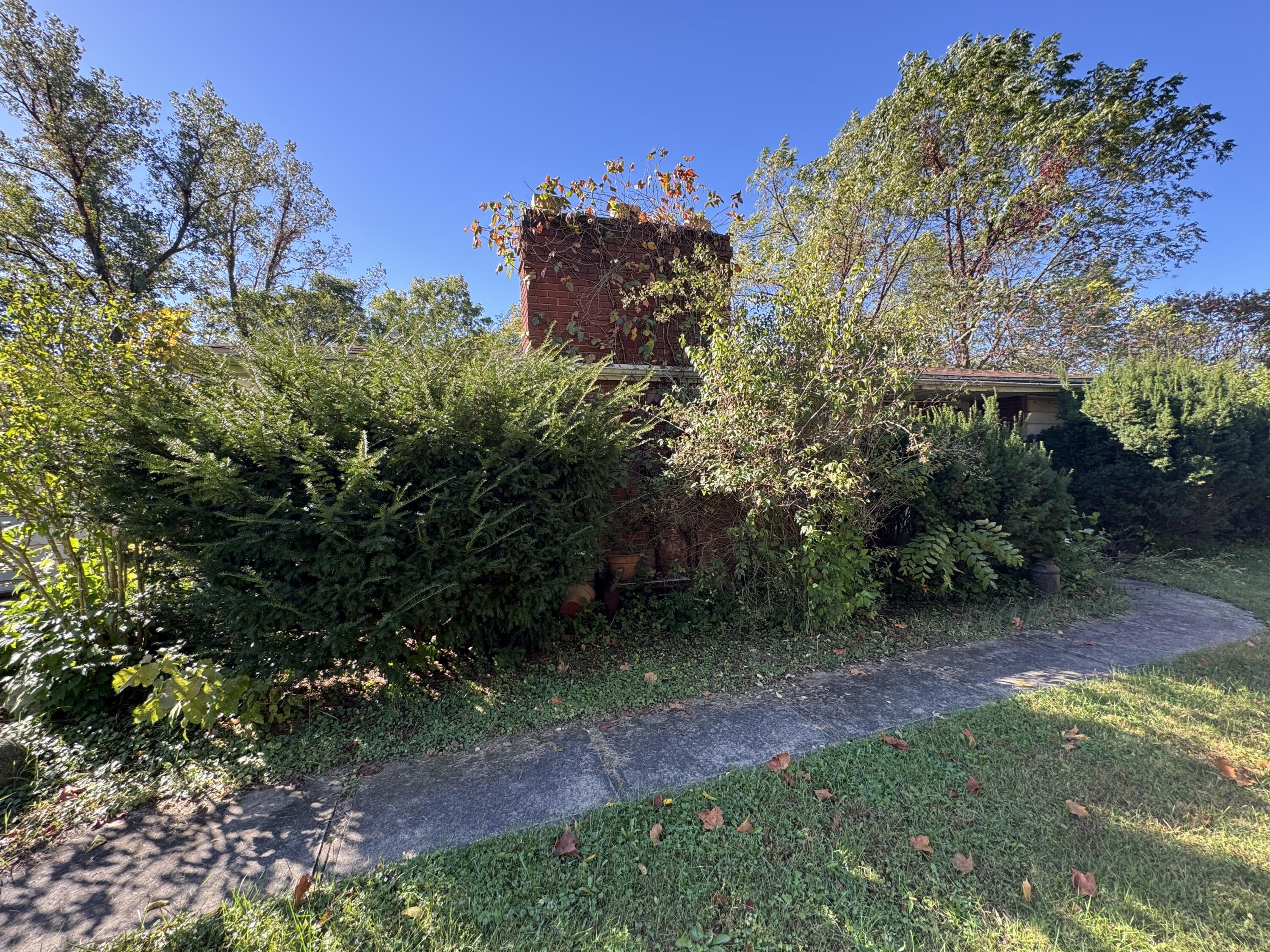 20177 Osborn Street