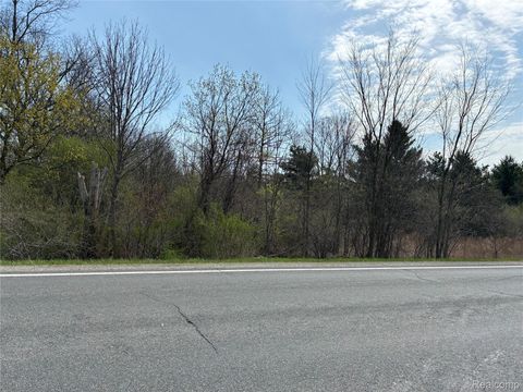 0004 Vincent Rd. Clyde Township MI 48049