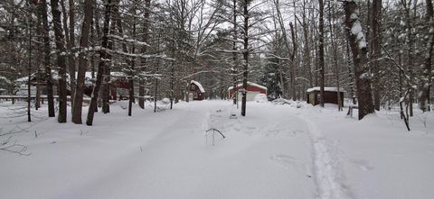 151 Skocelas Road N Stronach Township MI 49660