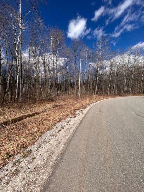 2895 Degeer Court Mills Township MI 48642