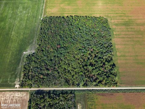 00 E Eddy Road Bridgehampton Township MI 48419