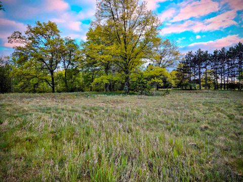Cedar and 12th Street Evart Township MI 49631