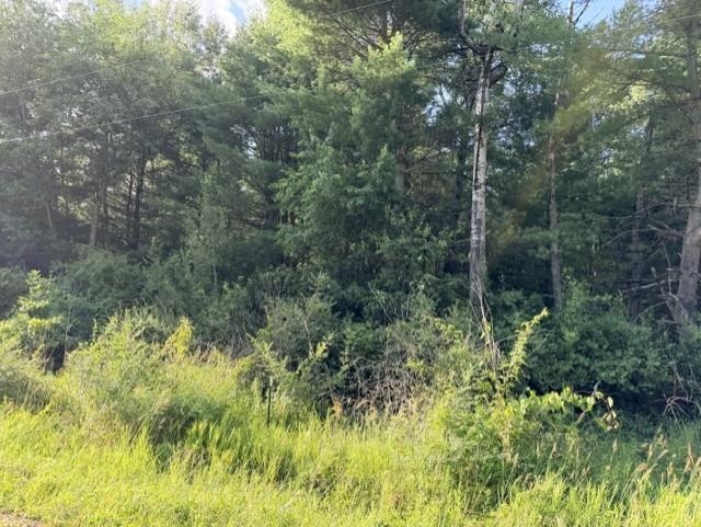 00 Timreck Road