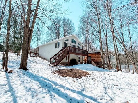 6424 Fourth Street Almira Township MI 49650