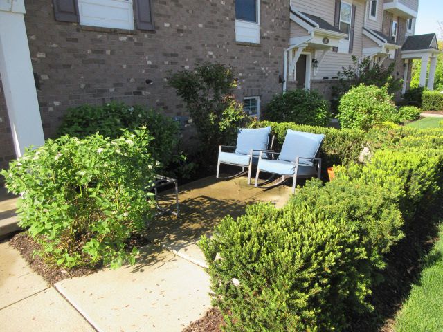 3147 CHAMBERS W