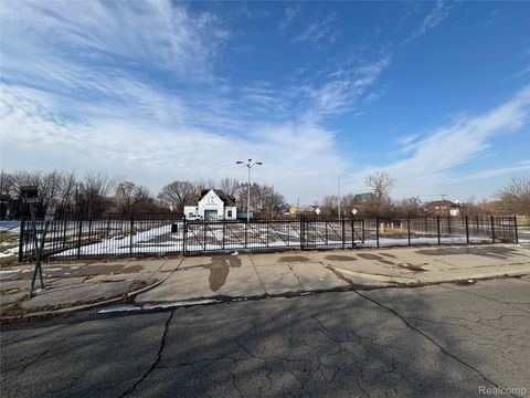 115 E Palmer Street Detroit City MI 48202