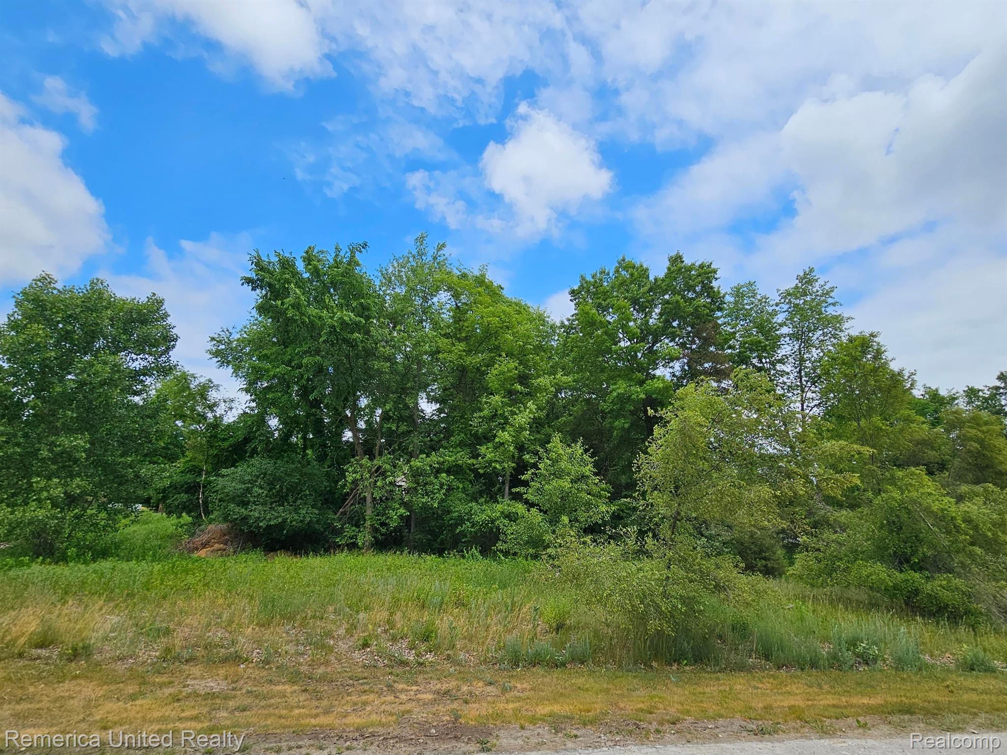 10536 Oak Shore Drive