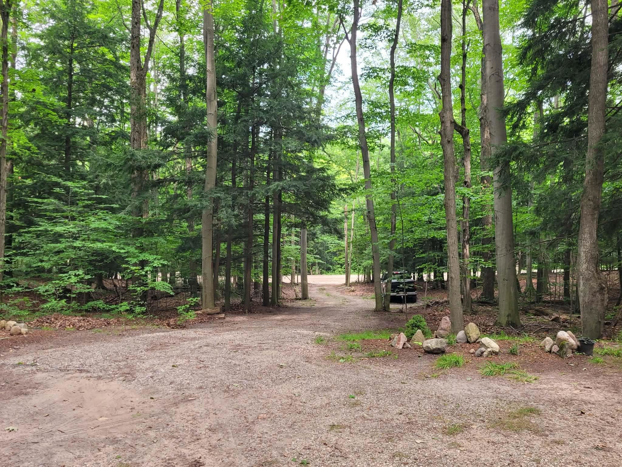 257 W Forest Trail