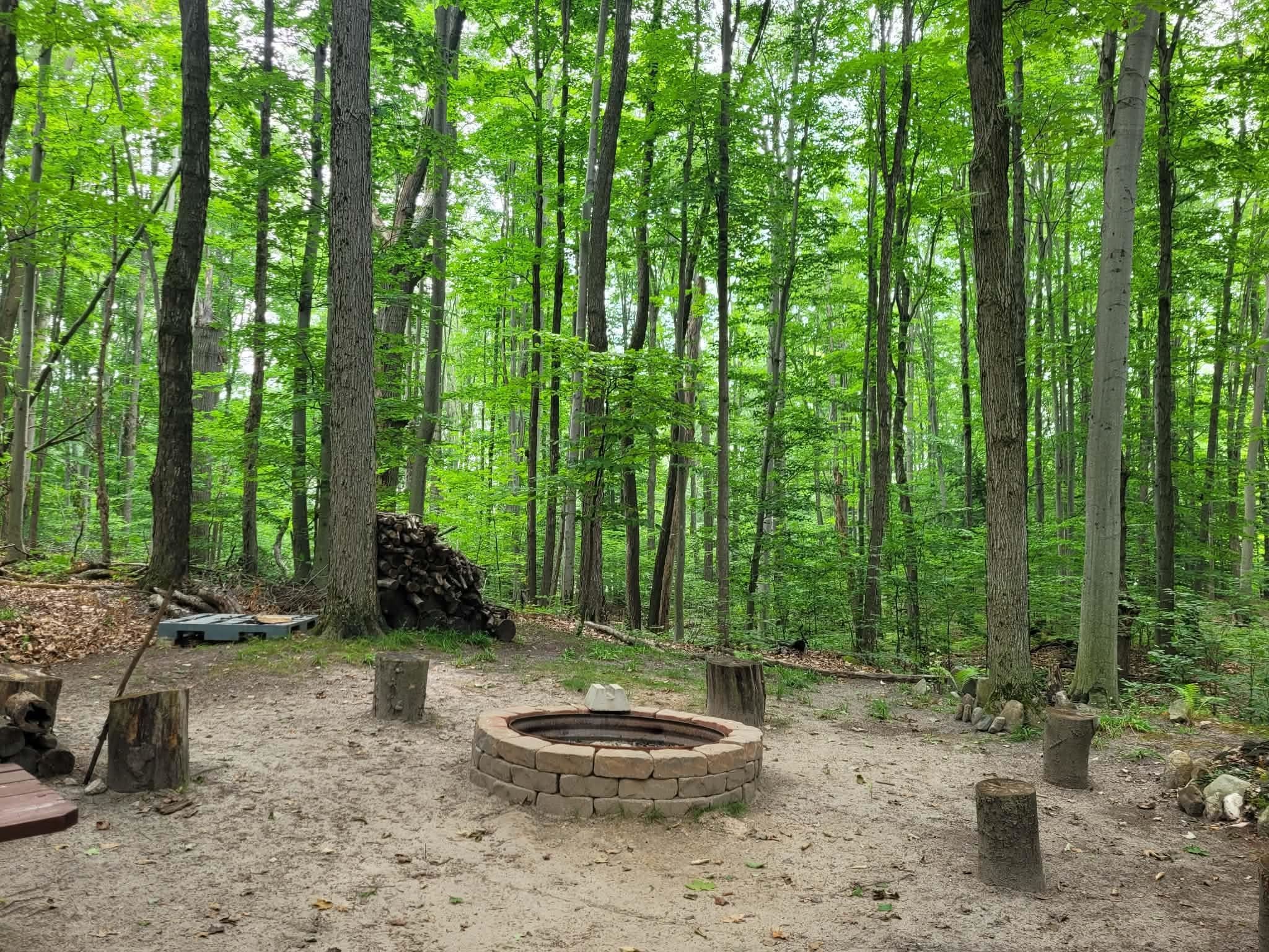 257 W Forest Trail