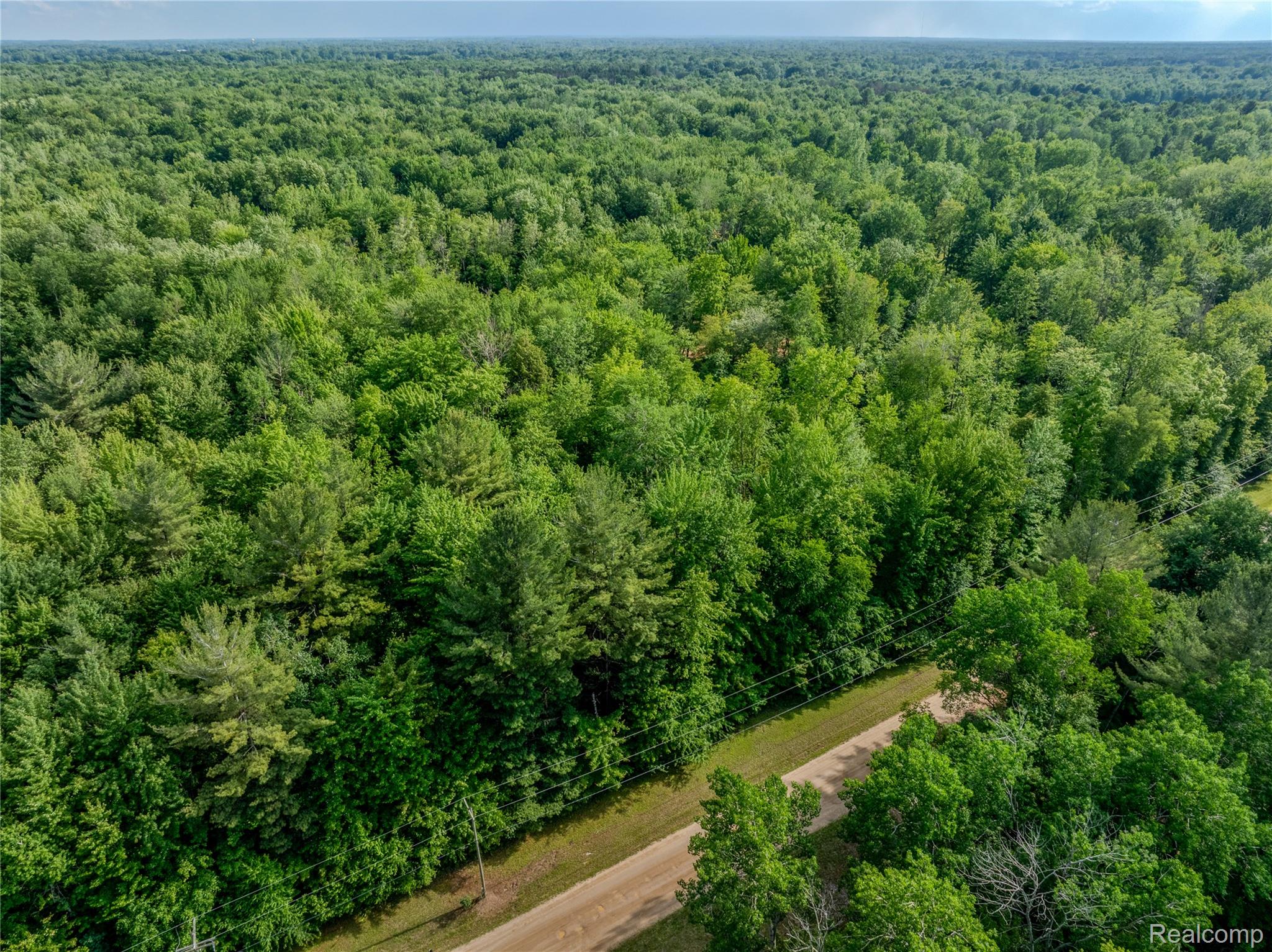 #0015 V/L Birch Lane