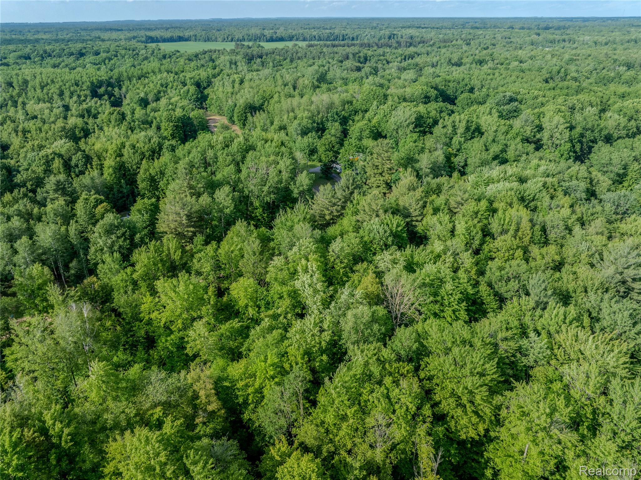 #0015 V/L Birch Lane