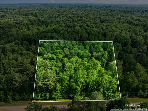 #0015 V/L Birch Lane Vassar City MI 48768