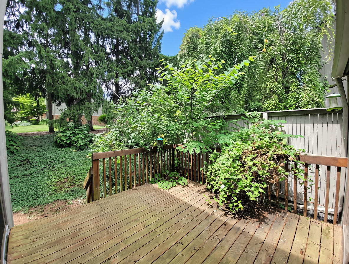 2172 Overlook Court