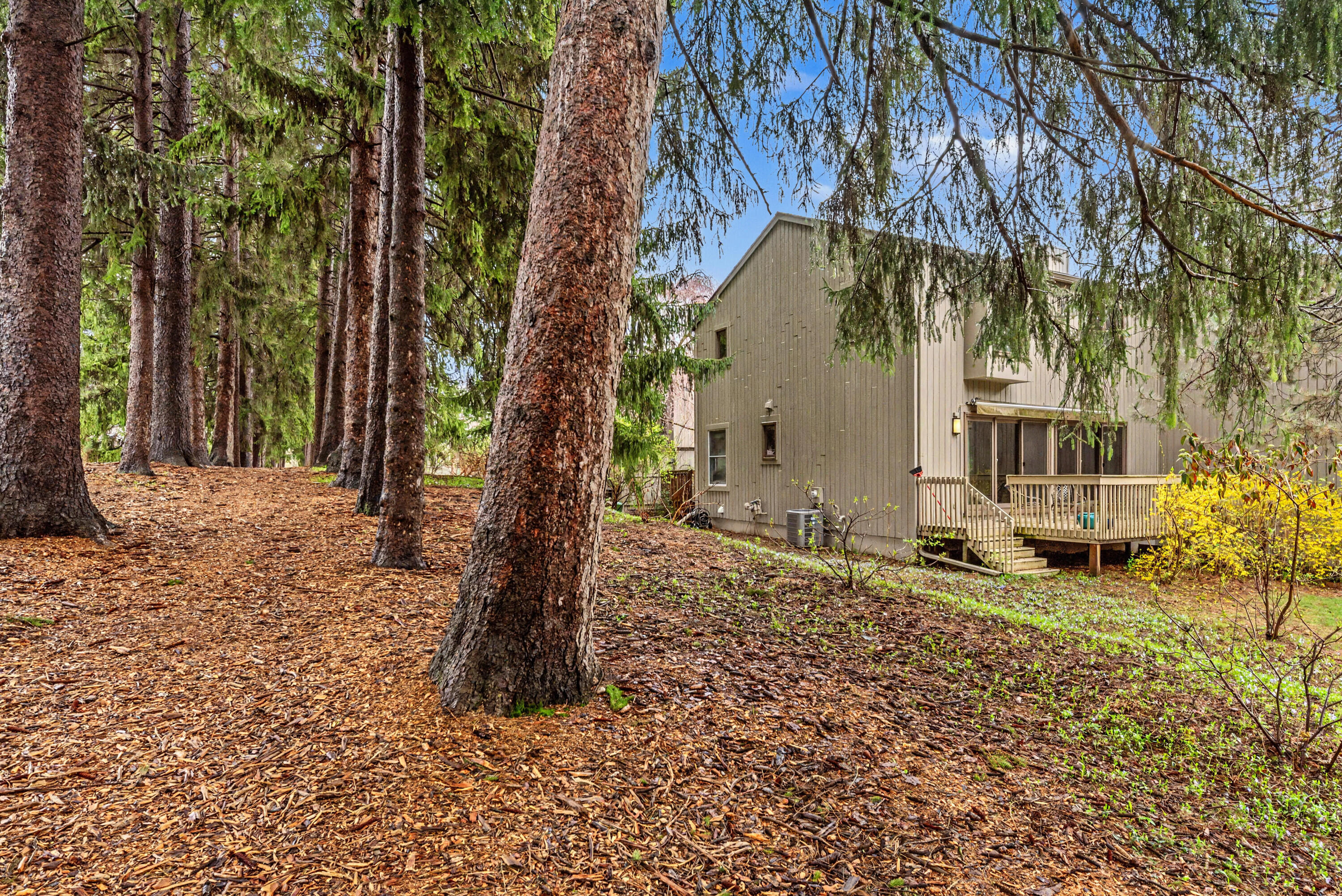 2172 Overlook Court