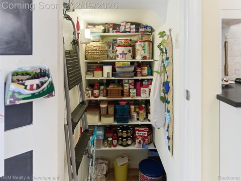 Tiny photo for 306 W Main Street, Northville City, MI 48167 (MLS # 20261009953)