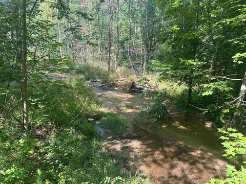 Parcel 2 S M-88 Custer Township MI 49615