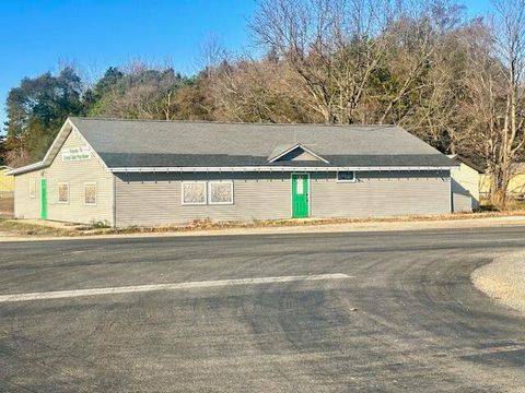 7203 N 126th Avenue Crystal Township MI 49420