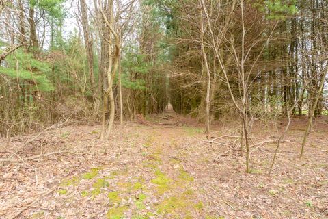 Tiny photo for 5251 S 6th Street, Texas Charter Township, MI 49009 (MLS # 66026013491)