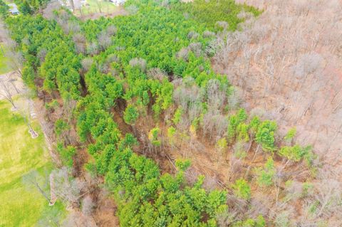 Tiny photo for 5251 S 6th Street, Texas Charter Township, MI 49009 (MLS # 66026013491)