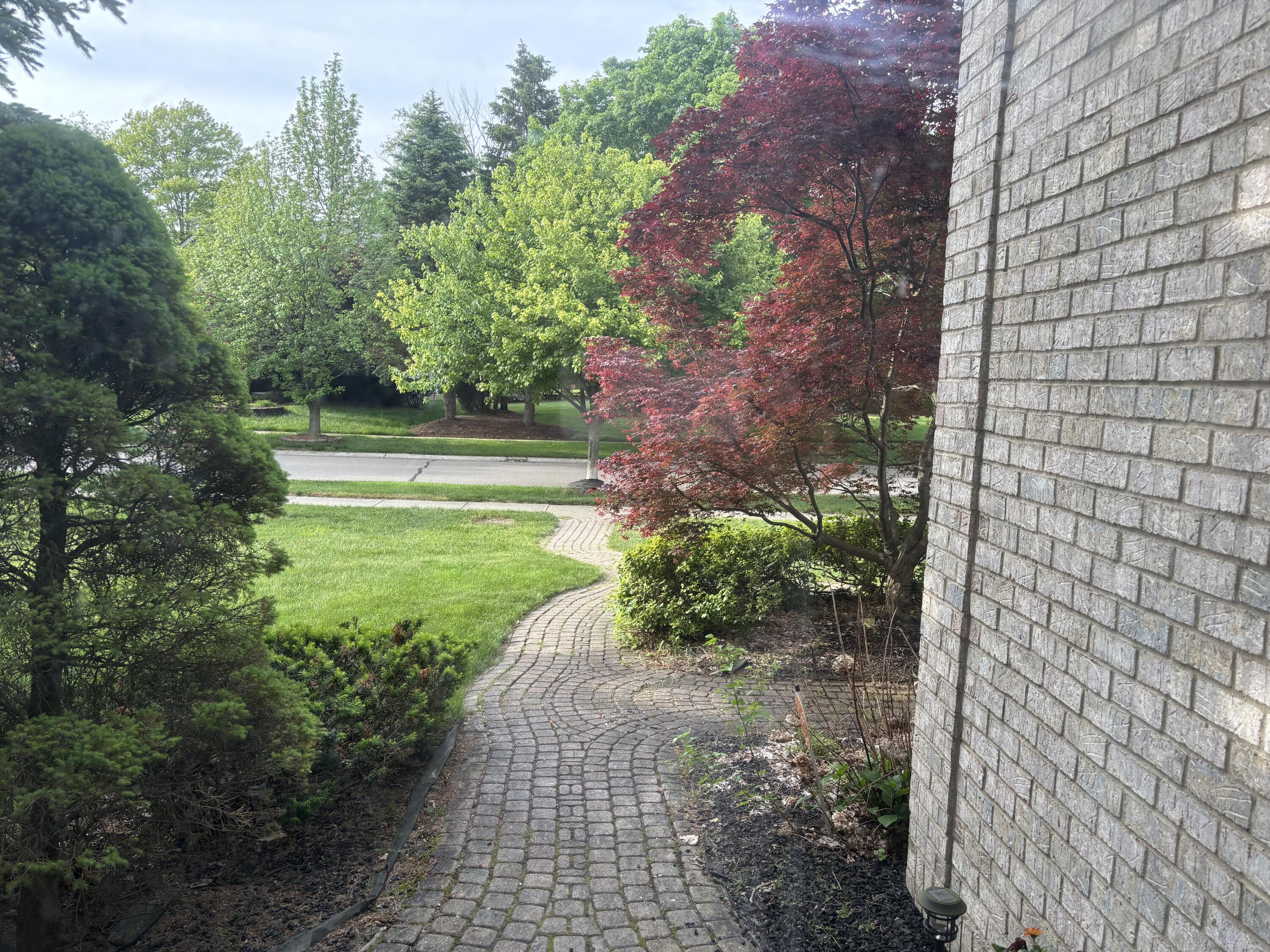 29301 Morningview Street 86