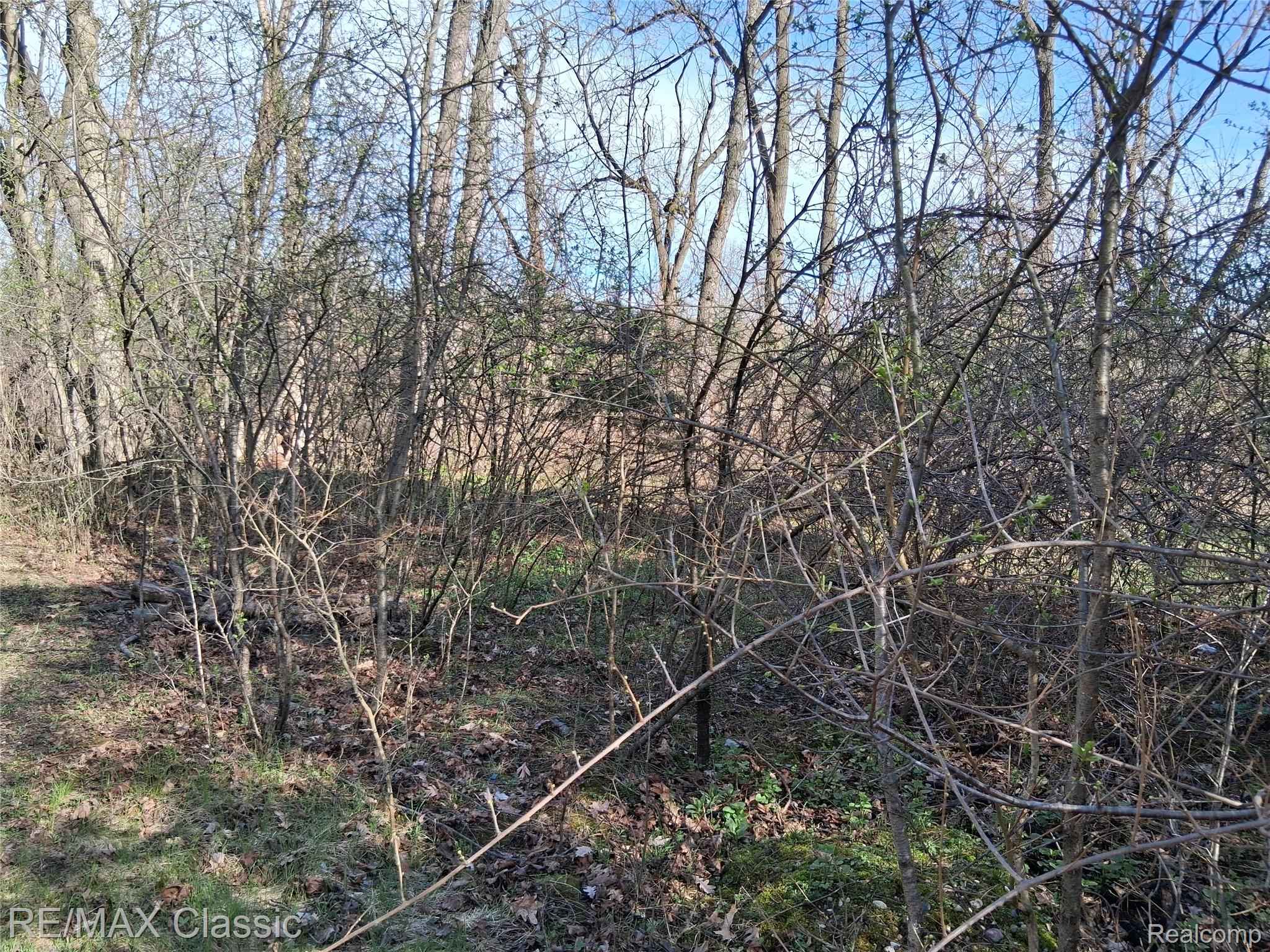 28375 Schroeder Street