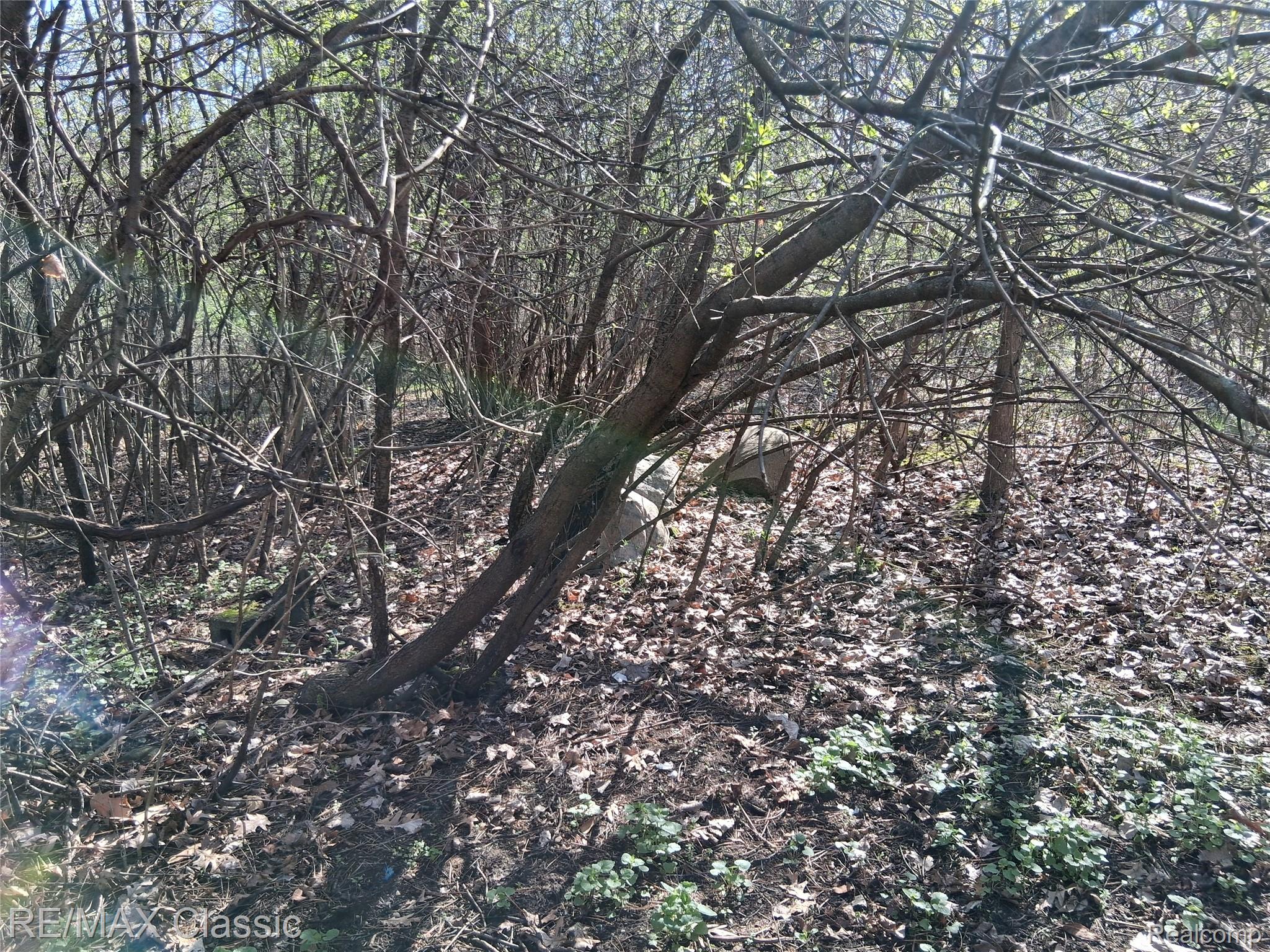 28375 Schroeder Street